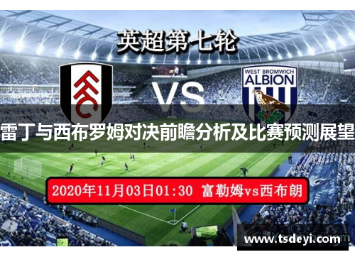 雷丁与西布罗姆对决前瞻分析及比赛预测展望