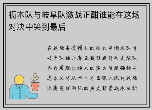 枥木队与岐阜队激战正酣谁能在这场对决中笑到最后