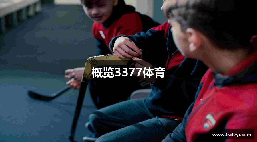 概览3377体育